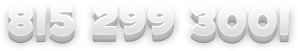 8152993001